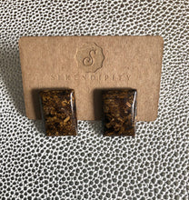 Bronzite Stud Earrings (Medium)