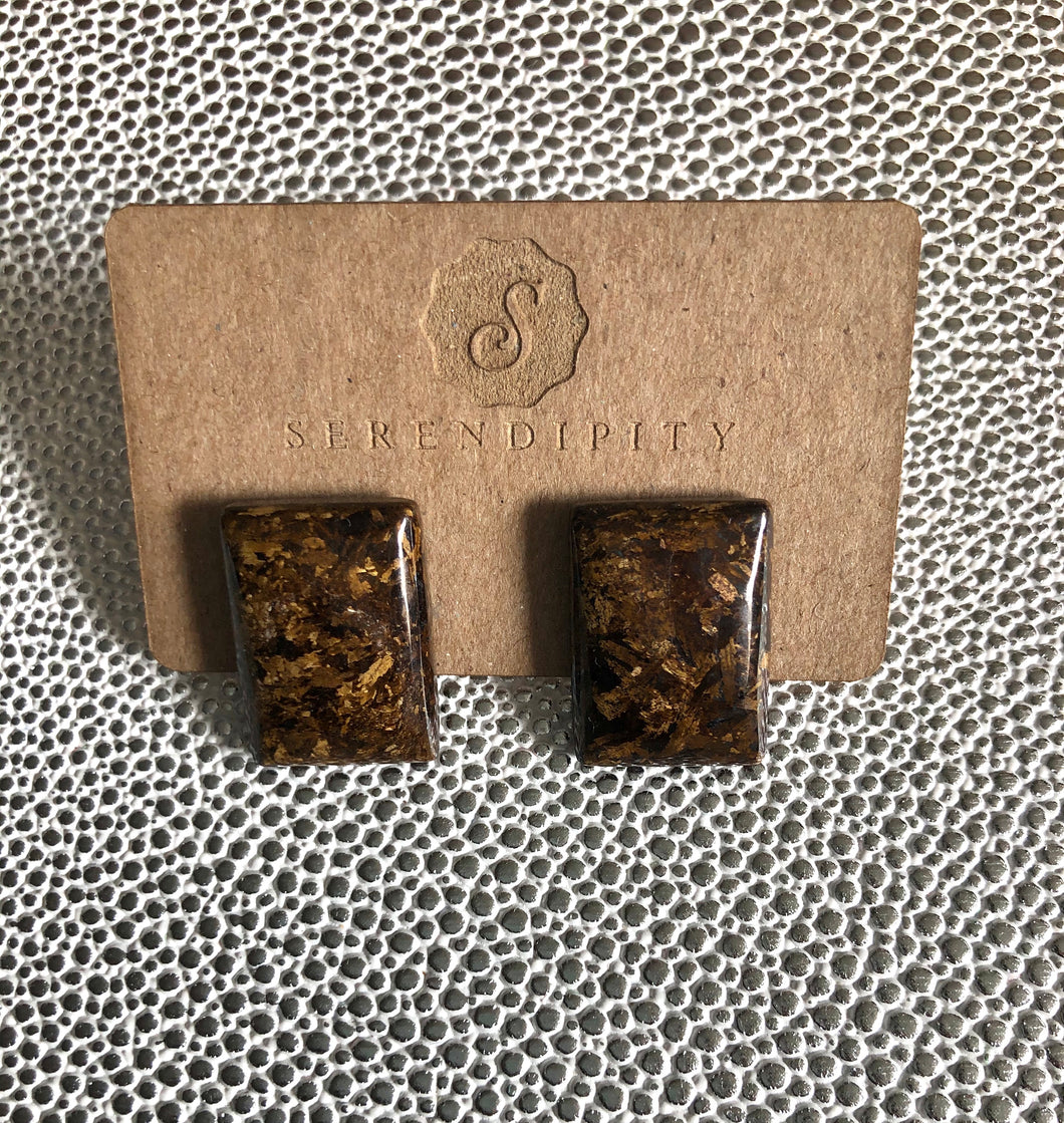 Bronzite Stud Earrings (Medium)